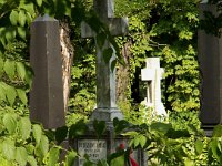 22 Mészáros - Téry